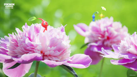 Pikmin HD Desktop Wallpaper | Background Image