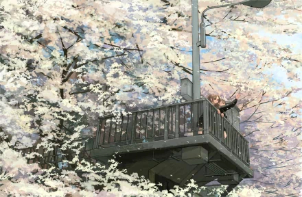 A serene anime-inspired HD wallpaper featuring cherry blossoms (sakura) in full bloom, framing a peaceful scene of a person on a balcony under the delicate pink petals.