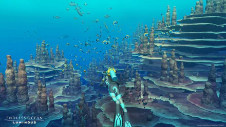 Endless Ocean HD Desktop Wallpaper | Background Image