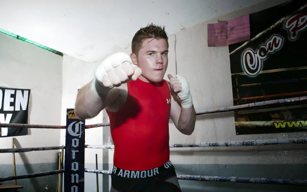 HD desktop wallpaper featuring a boxer in a red shirt posing with fists ready in a boxing gym, capturing the intensity of the sport.