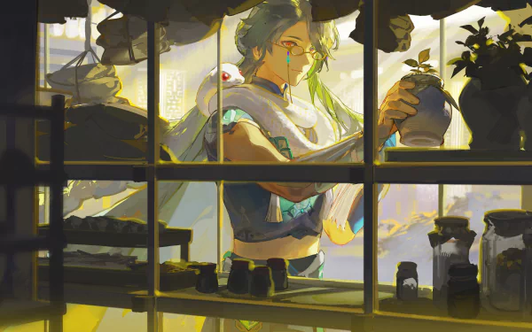 Baizhu from Genshin Impact is depicted in a detailed 4K Ultra HD desktop wallpaper, shown through a window surrounded by plants and bottles in soft, warm lighting.
