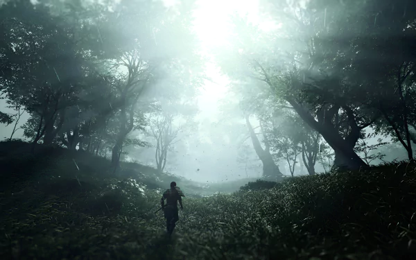 HD desktop wallpaper of the video game Ghost of Tsushima, depicting a lone warrior walking through a misty forest illuminated by rays of sunlight.