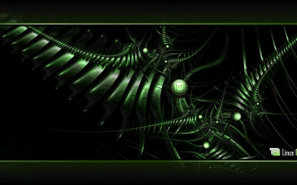  LinuxMint1