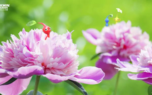 Pikmin HD Desktop Wallpaper | Background Image