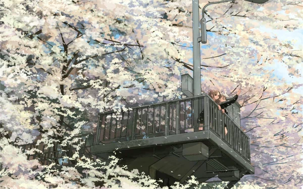 A serene anime-inspired HD wallpaper featuring cherry blossoms (sakura) in full bloom, framing a peaceful scene of a person on a balcony under the delicate pink petals.