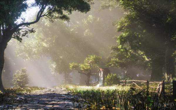 A stunning HD desktop wallpaper and background from the video game Pax Dei, featuring sunbeams filtering through a lush, serene forest pathway.