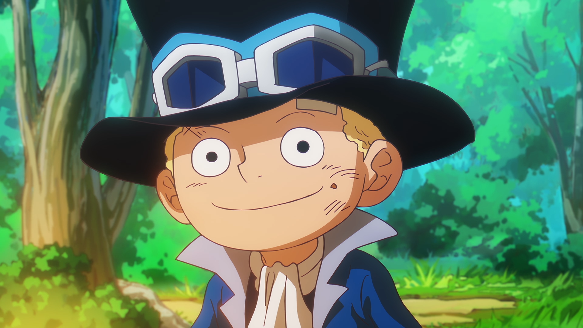 Download Anime One Piece Sabo (One Piece) HD Wallpaper