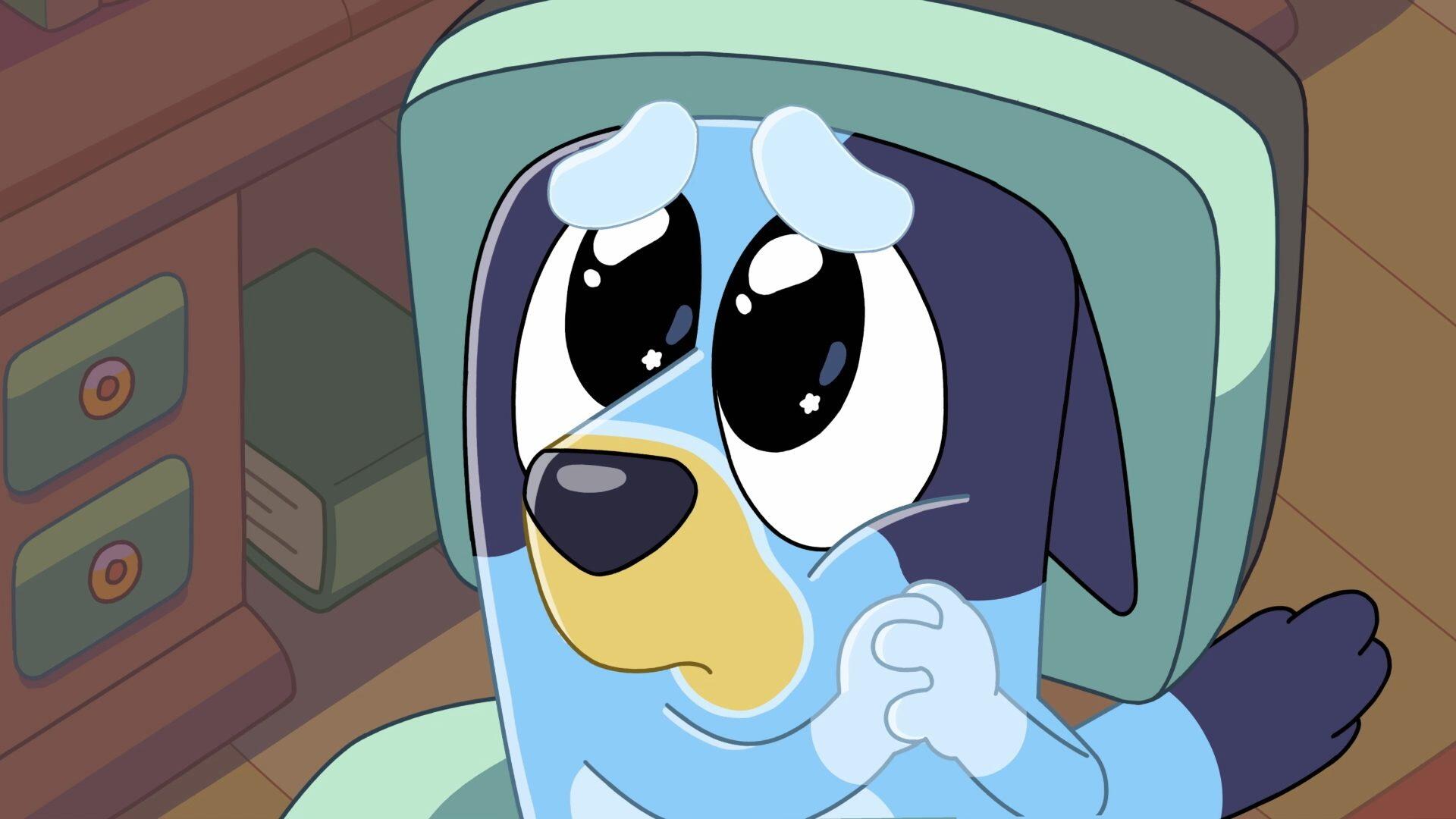 A cute Bluey character gazes with large, expressive eyes, set against a colorful background, making a charming HD PC desktop wallpaper for fans of the beloved TV show.