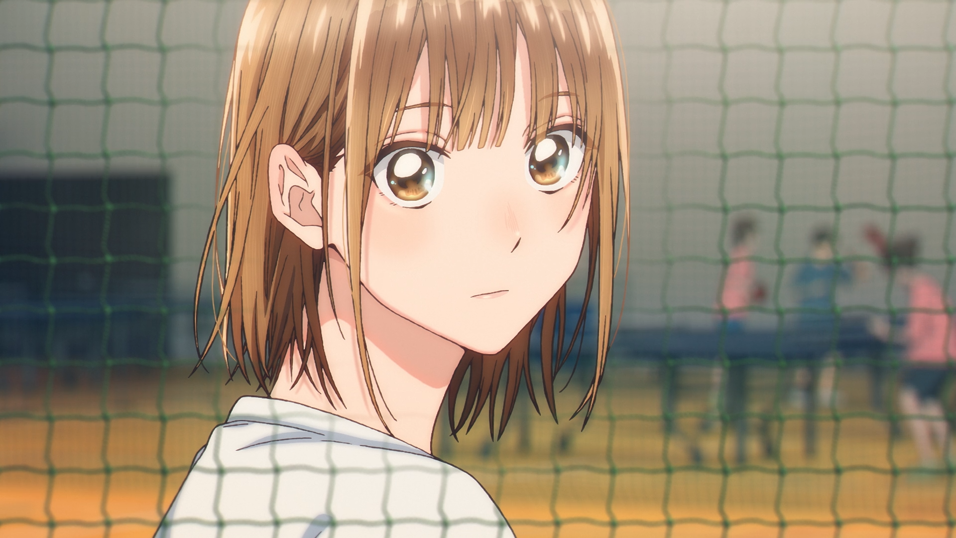 Anime HD desktop wallpaper featuring Chinatsu Kano from Blue Box, shown with a soft expression against a volleyball net backdrop.