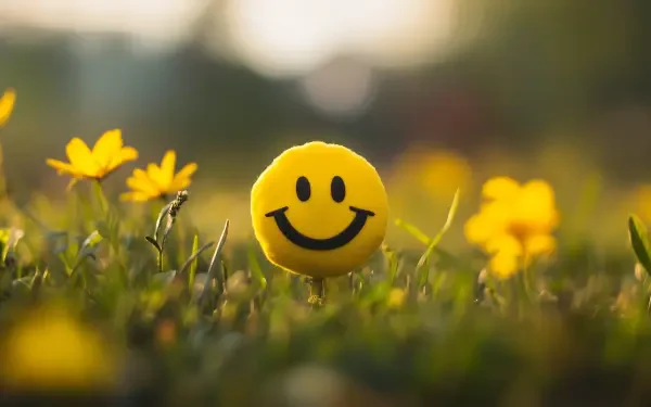 A vibrant HD wallpaper featuring a cheerful smiley face surrounded by yellow flowers, radiating happiness and positivity in a natural outdoor setting.