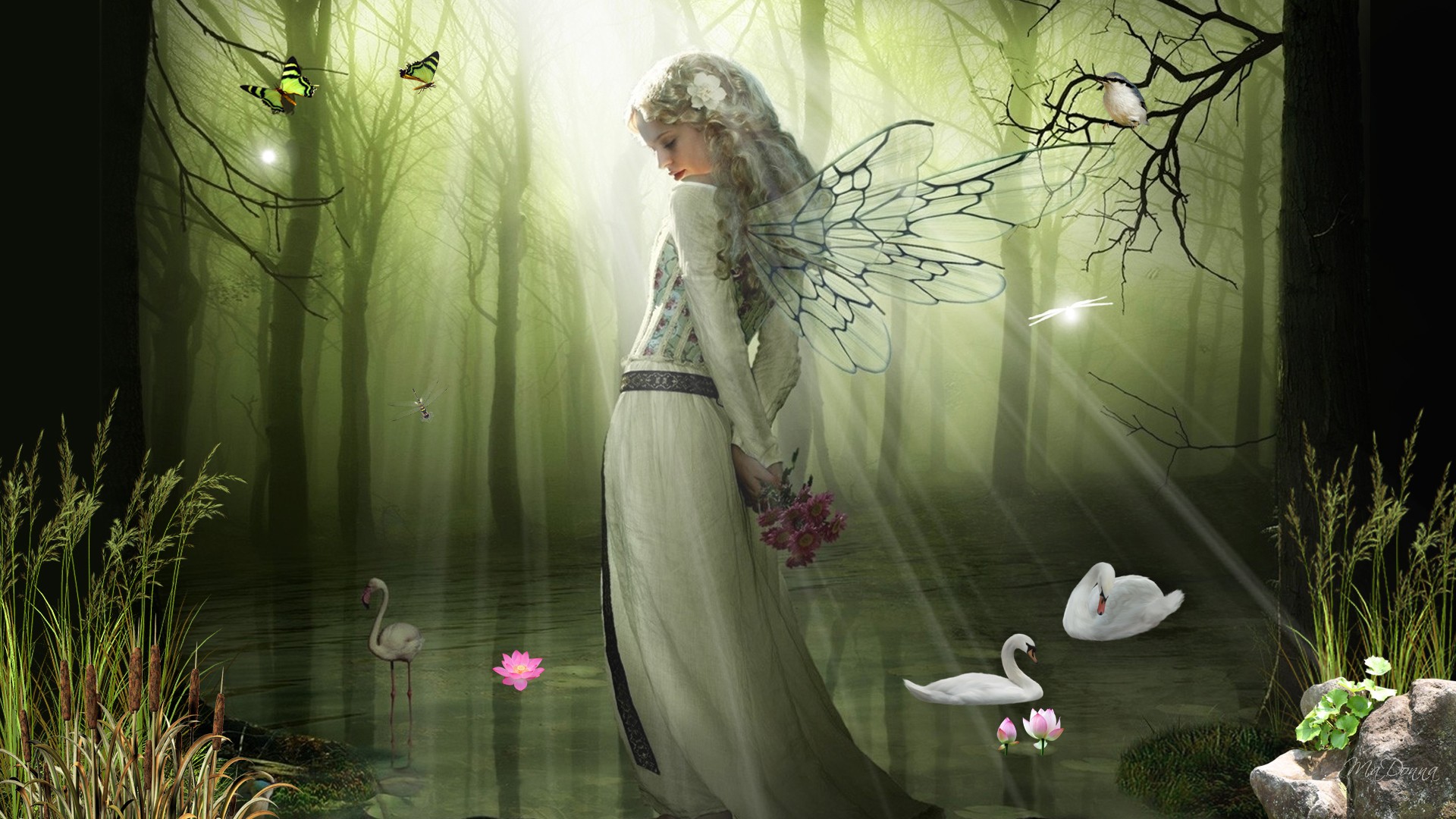 Fantasy desktop wallpaper featuring a contemplative fairy and a majestic dragon.