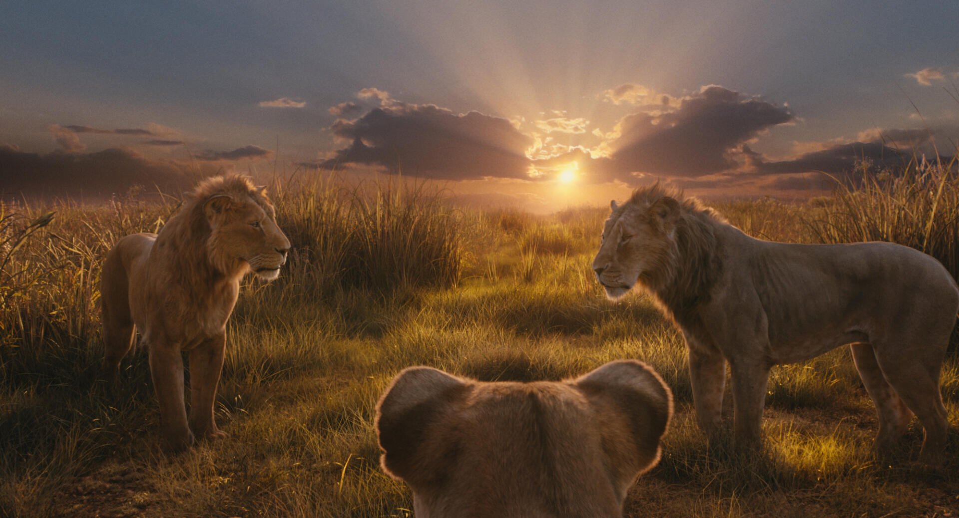 A breathtaking HD wallpaper from Mufasa: The Lion King, depicting lions in a sunlit savanna, with golden sunlight streaming through the clouds at dawn.