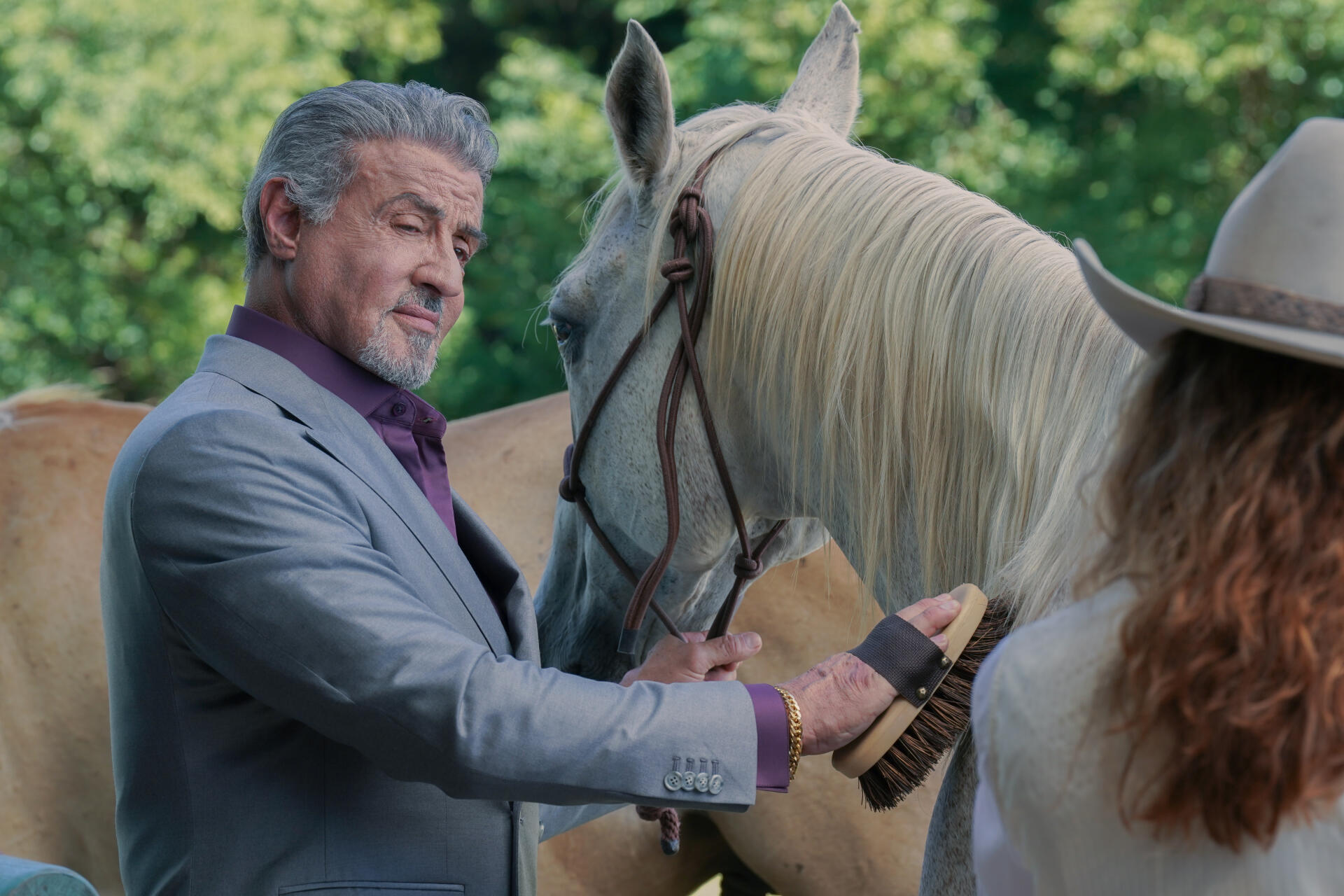 Sylvester Stallone in a scene from the TV show Tulsa King, tenderly brushing a white horse, set against a lush, green background. A striking 4K Ultra HD image.