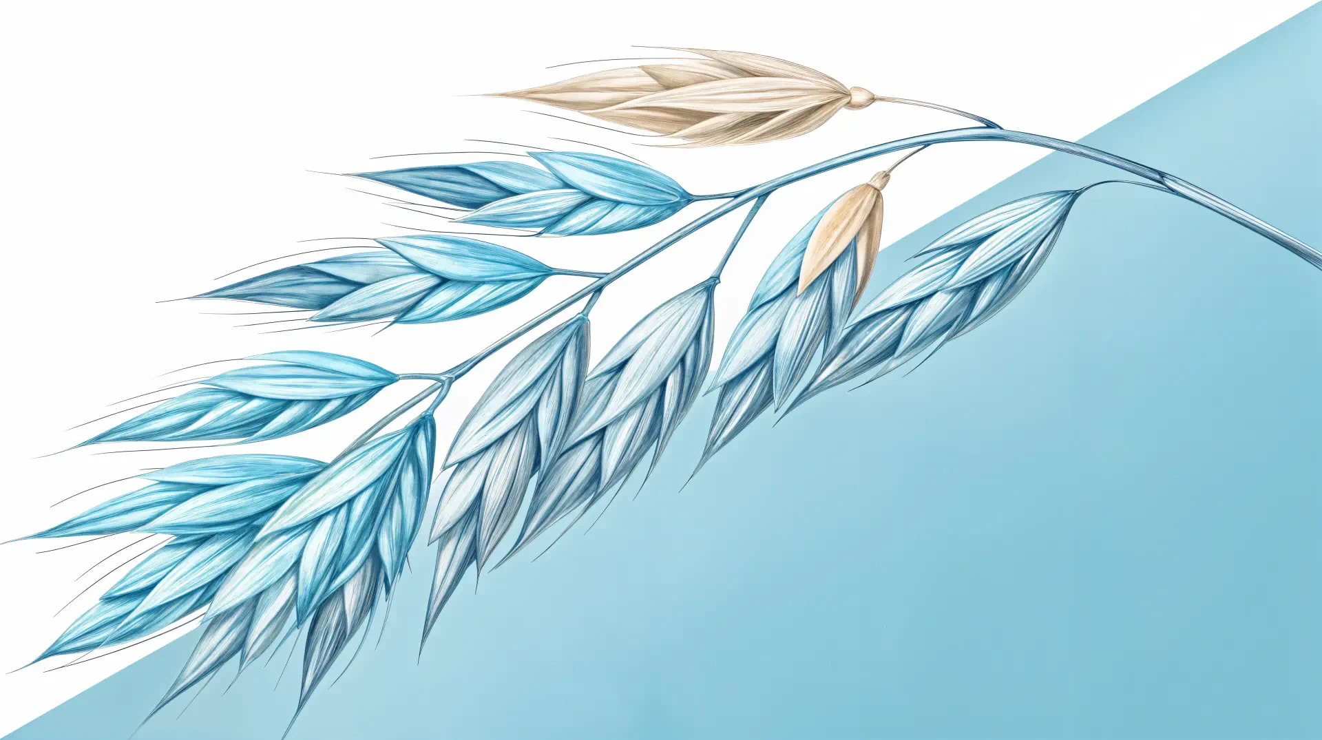 A beautifully illustrated oat plant with blue and beige tones, set against a soft blue background, serves as a stunning 4K Ultra HD PC desktop wallpaper.