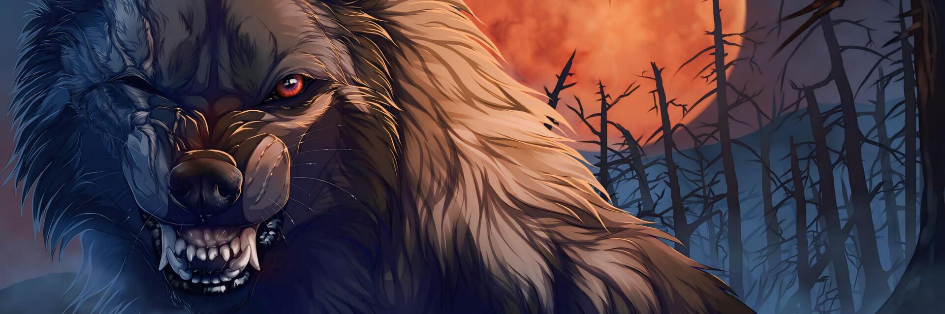 Download HD Wallpaper