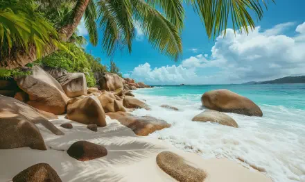 4K Ultra HD beach wallpaper featuring turquoise waves, smooth rocks, white sand, and lush palm trees under a bright blue sky.