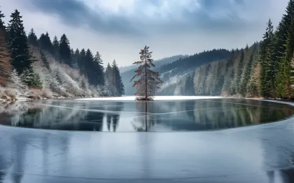 A serene winter landscape features a solitary tree on a frozen lake, surrounded by snow-covered mountains and dense evergreen forests, captured in stunning 4K Ultra HD.