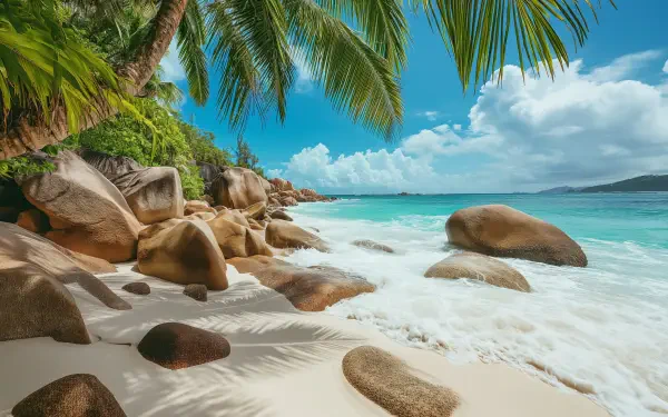 4K Ultra HD beach wallpaper featuring turquoise waves, smooth rocks, white sand, and lush palm trees under a bright blue sky.