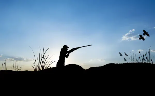 landscape shadow gun HD Desktop Wallpaper | Background Image