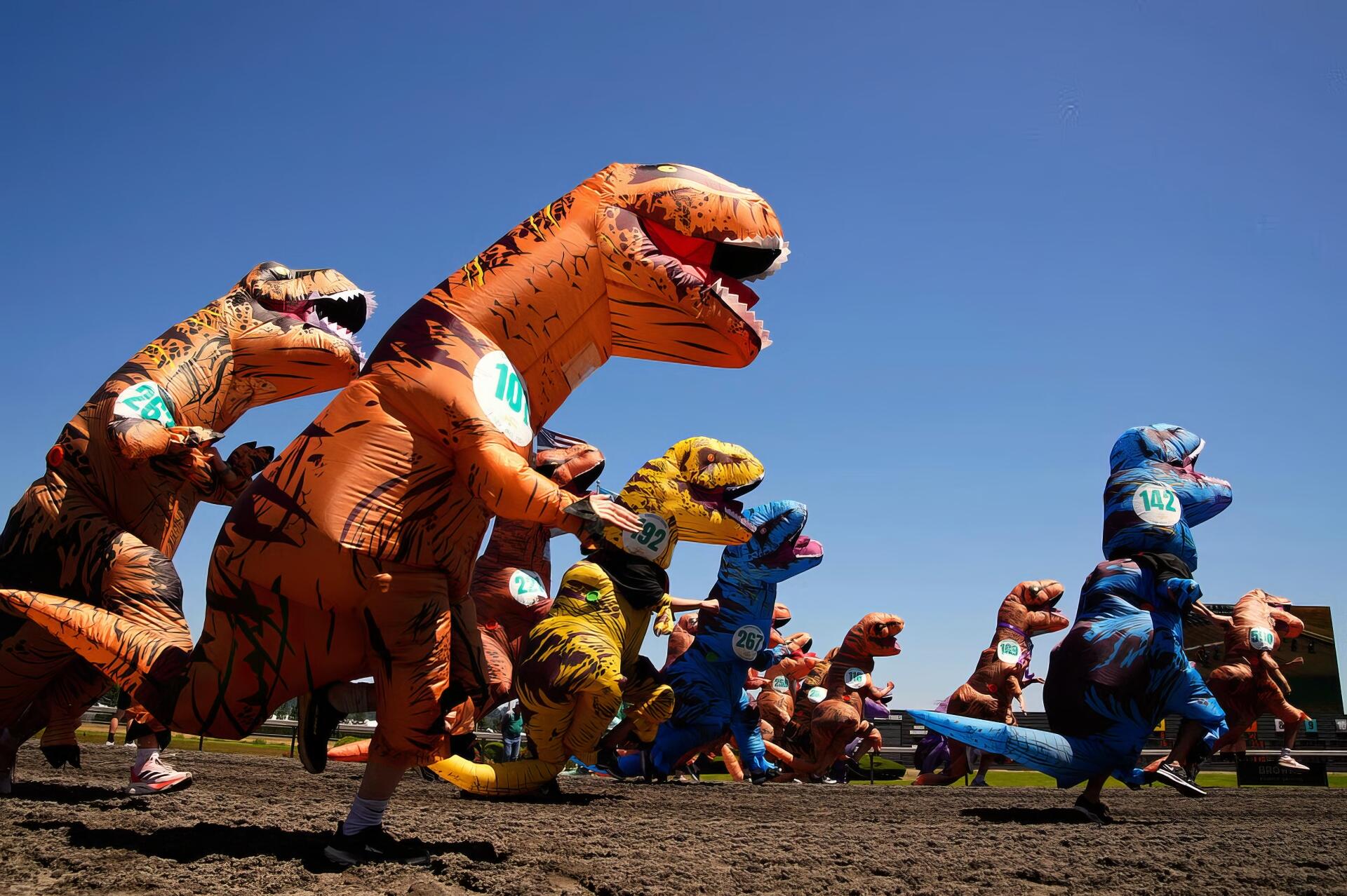 HD PC desktop wallpaper featuring a vibrant lineup of inflatable Tyrannosaurus Rex costumes against a clear blue sky.