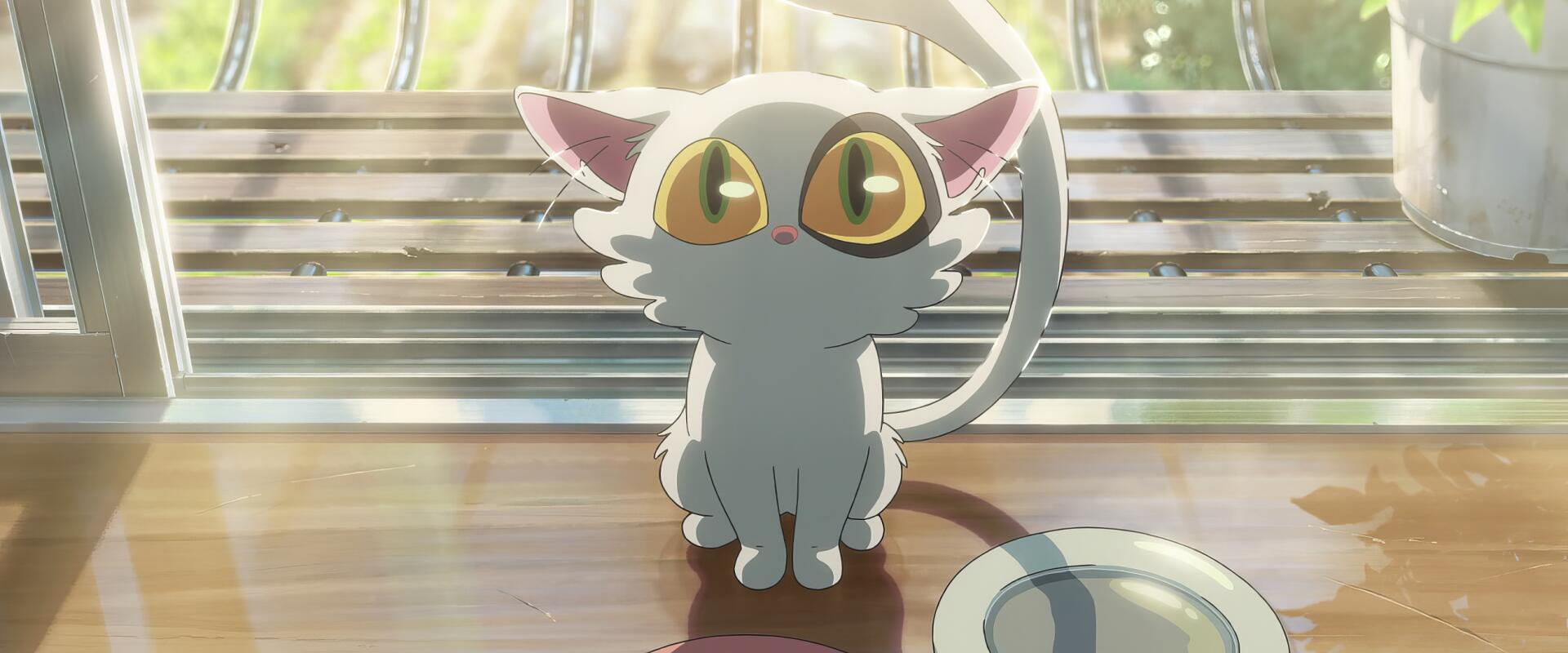 HD anime desktop wallpaper featuring a wide-eyed anime cat from Suzume no Tojimari sitting on a wooden floor with sunlight streaming through a window.