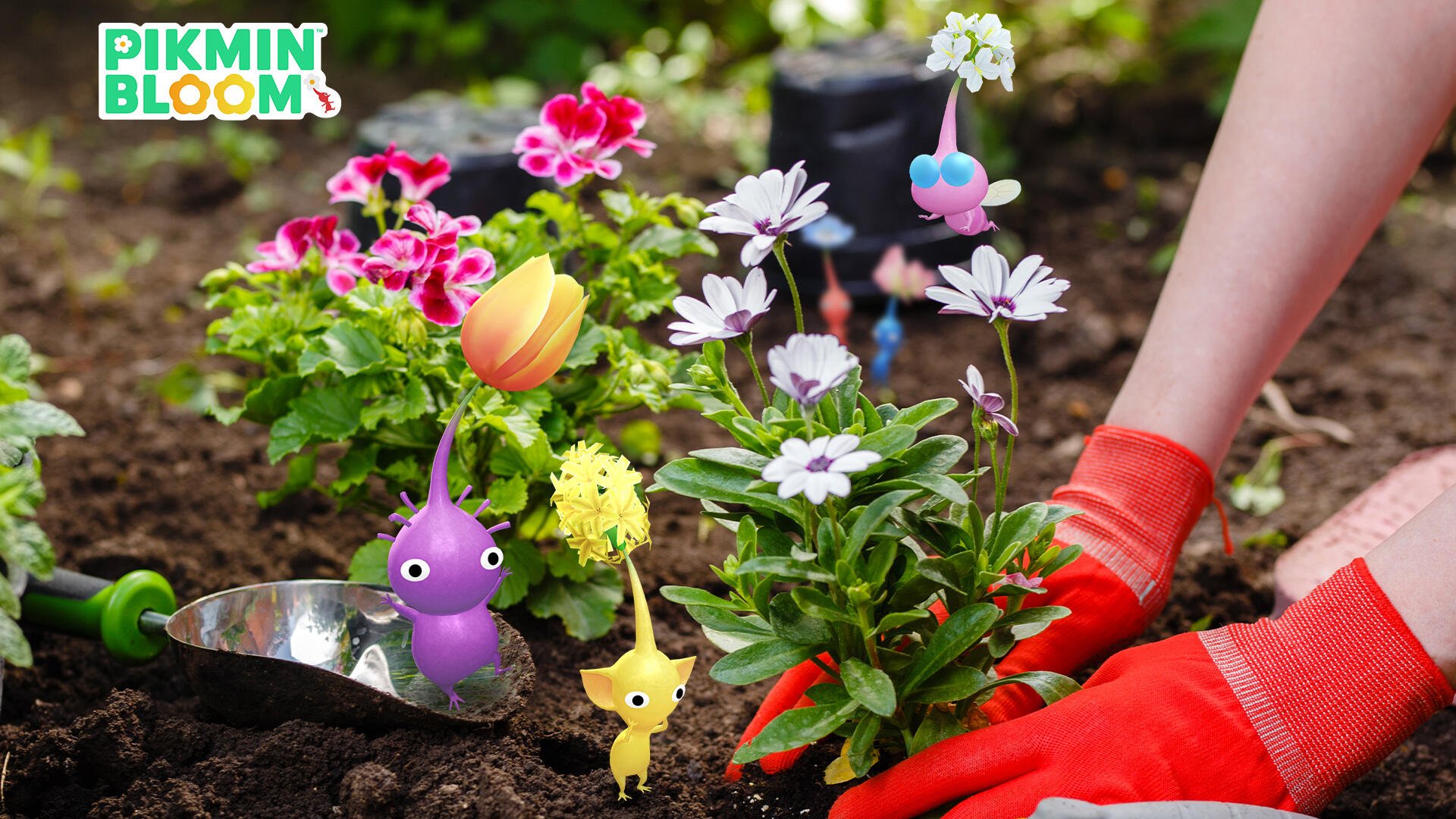 HD PC desktop wallpaper featuring Pikmin characters interacting with colorful flowers in a garden, inspired by Pikmin Bloom.
