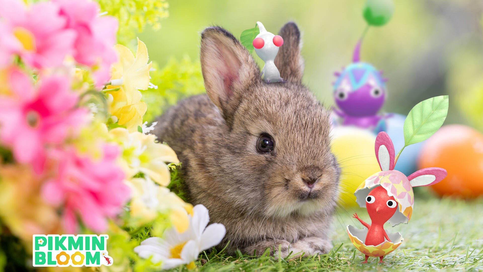 HD PC desktop wallpaper featuring a cute bunny with Pikmin characters from Pikmin Bloom surrounded by colorful flowers in a vibrant outdoor setting.
