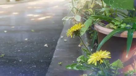 A serene HD desktop wallpaper featuring vibrant yellow flowers alongside a pathway, inspired by anime themes from Your Name. Lush greenery surrounds the blooms, creating a tranquil ambiance.
