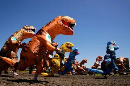 HD PC desktop wallpaper featuring a vibrant lineup of inflatable Tyrannosaurus Rex costumes against a clear blue sky.