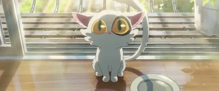HD anime desktop wallpaper featuring a wide-eyed anime cat from Suzume no Tojimari sitting on a wooden floor with sunlight streaming through a window.