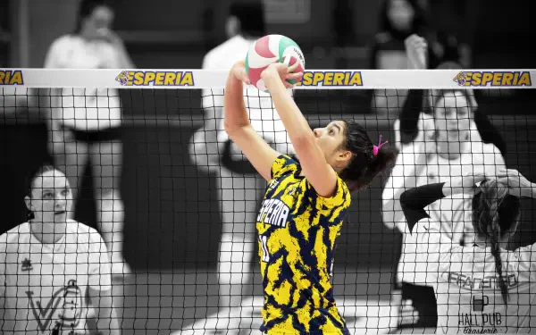 Sports volleyball HD Desktop Wallpaper | Background Image