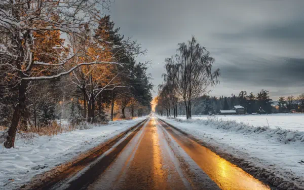 A snowy road surrounded by trees glistens under a cloudy sky, capturing a serene winter scene in stunning 4K Ultra HD, perfect for use as a desktop wallpaper.