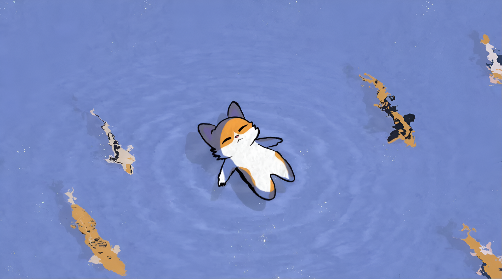 Cute cat floating on its back among koi carp in rippling blue water — 2K Quad HD PC desktop wallpaper and background.