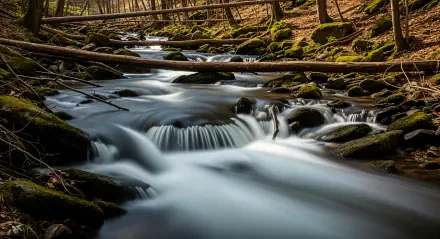 4K Ultra HD PC desktop wallpaper/background: tranquil forest creek flowing over mossy rocks and fallen logs, long-exposure silky water and dappled light through the trees.