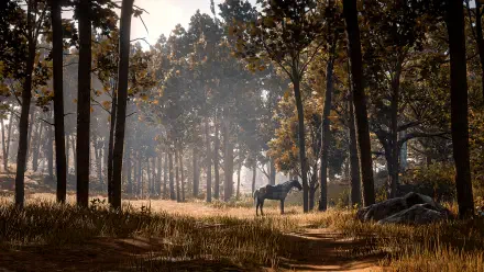 Red Dead Redemption 2 2K Quad HD PC wallpaper: lone horse in sunlit autumn pines, mist and dappled light filtering through the forest.