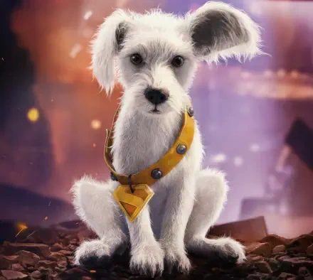 White dog Krypto wearing a yellow collar with the Superman S emblem, shown as a 2K Quad HD PC desktop wallpaper for the Superman (2025) movie from DC Comics.