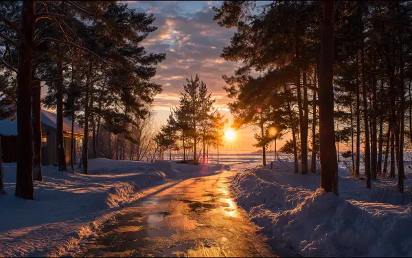 4K Ultra HD PC desktop wallpaper: snow-lined lane through pines at a winter sunset, golden sun reflecting on an icy road and warming the snowy landscape.