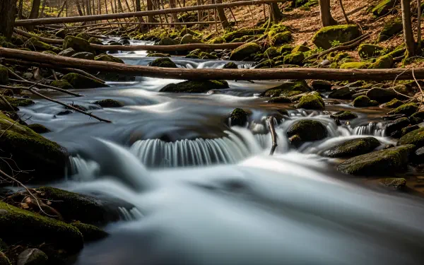 4K Ultra HD PC desktop wallpaper/background: tranquil forest creek flowing over mossy rocks and fallen logs, long-exposure silky water and dappled light through the trees.