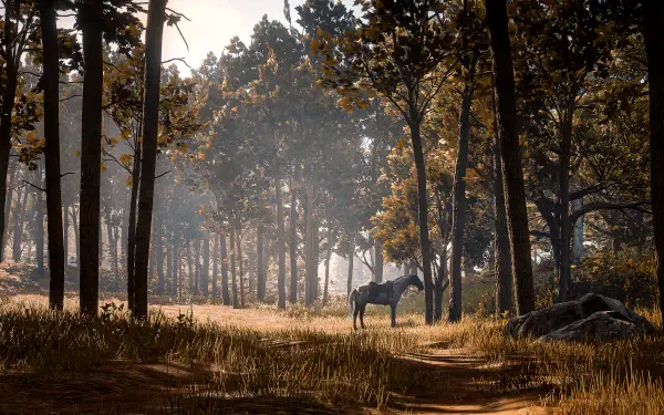 Red Dead Redemption 2 2K Quad HD PC wallpaper: lone horse in sunlit autumn pines, mist and dappled light filtering through the forest.