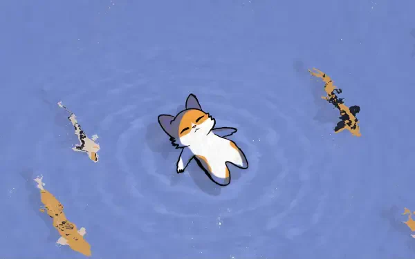 Cute cat floating on its back among koi carp in rippling blue water — 2K Quad HD PC desktop wallpaper and background.