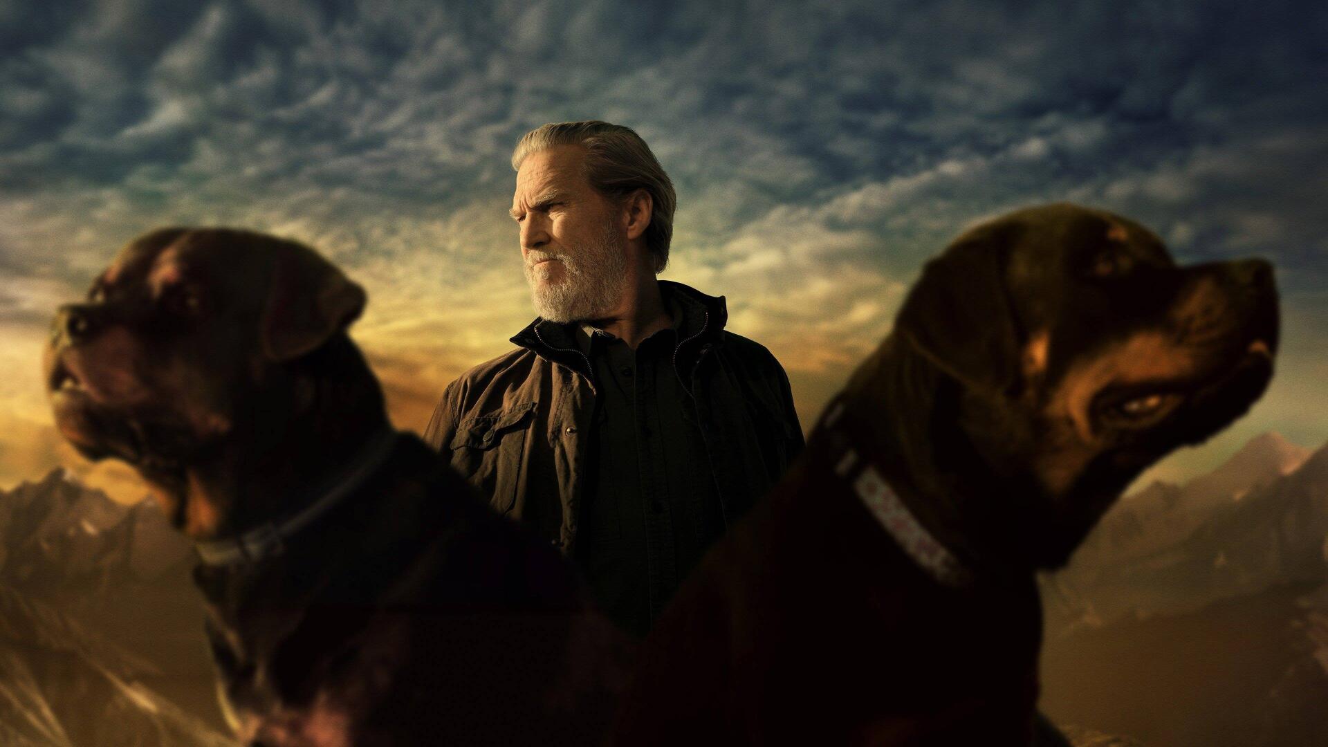 The Old Man — 4K Ultra HD PC desktop wallpaper showing a bearded elder between two large dogs beneath a dramatic sunset sky.