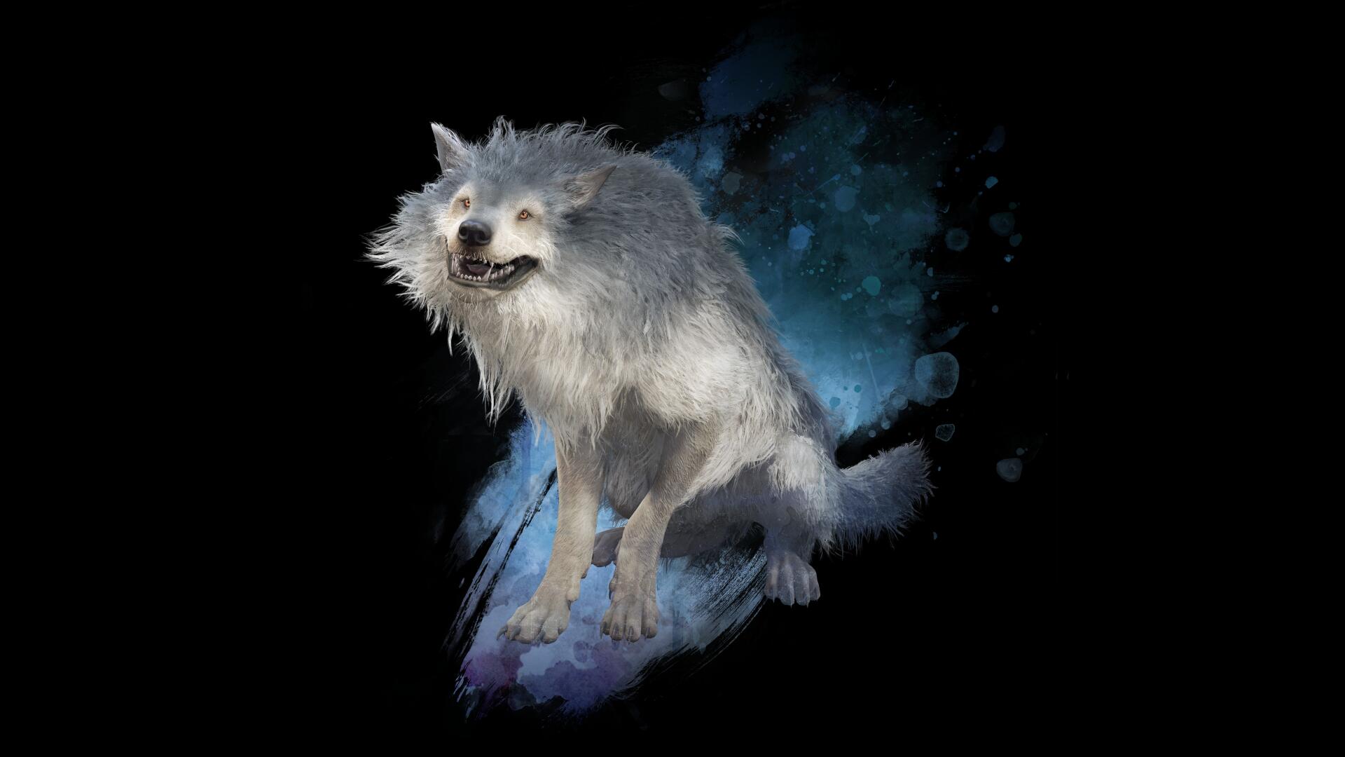 8K Ultra HD PC desktop wallpaper of a gray wolf from Dragon's Dogma 2: Dark Arisen, rendered against a moody blue-black background.
