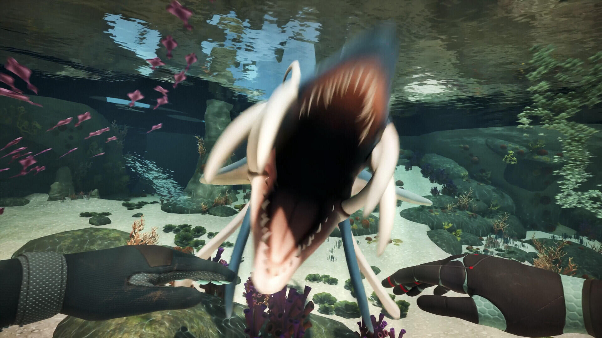 HD PC desktop wallpaper — Honeycomb: The World Beyond — first-person underwater view of gloved hands as a shark lunges toward the viewer amid coral and reef life.