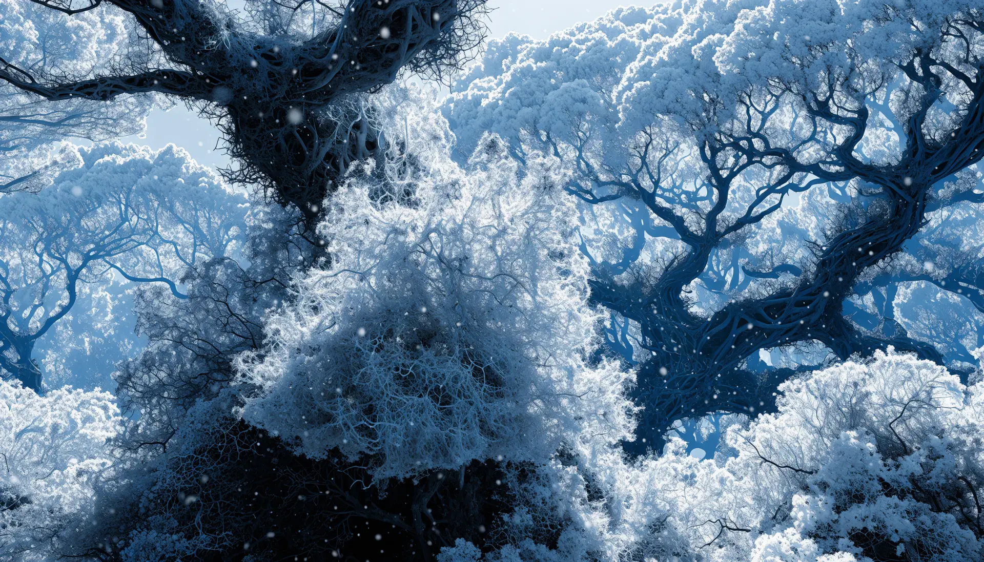 2K Quad HD PC desktop wallpaper: frosted winter canopy of snow-laden trees with twisting branches and drifting flakes, cool blue tones.