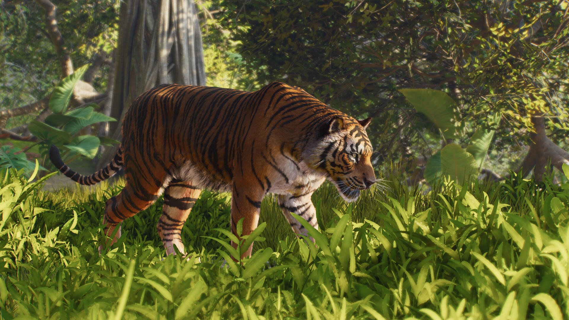 Planet Zoo 2 4K Ultra HD PC wallpaper of a tiger prowling through lush jungle foliage, surrounded by vibrant wildlife.