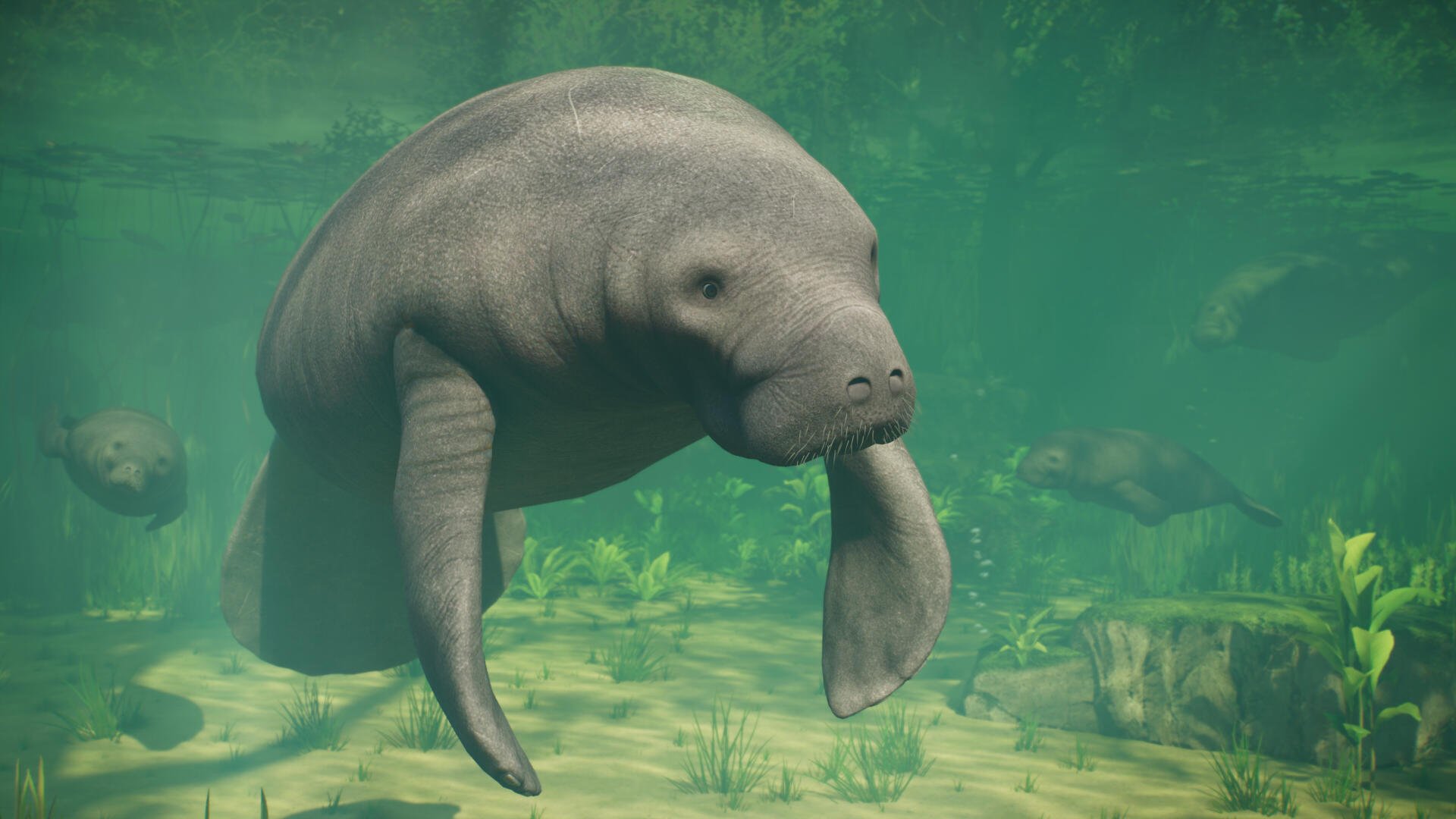 Planet Zoo 2 manatee swimming underwater among aquatic plants, 4K Ultra HD PC desktop wallpaper and background.