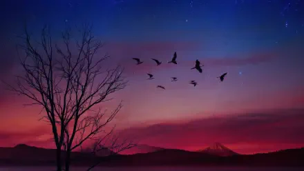 4K Ultra HD PC desktop wallpaper: silhouetted birds flying across a vibrant sunset sky, a bare tree silhouette and distant hills on the horizon.
