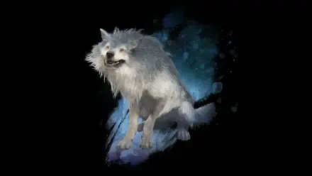 8K Ultra HD PC desktop wallpaper of a gray wolf from Dragon's Dogma 2: Dark Arisen, rendered against a moody blue-black background.