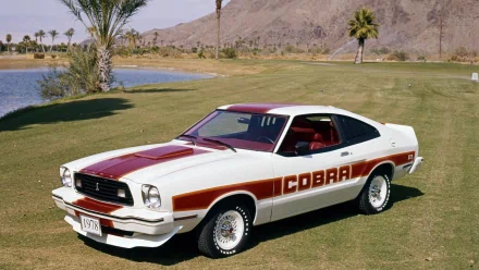  1978 Mustang Cobra