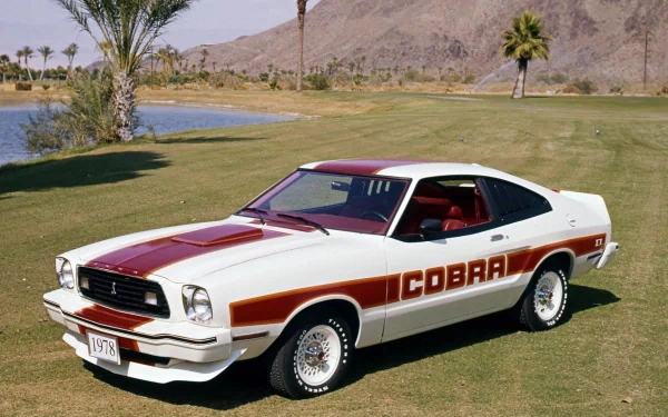  1978 Mustang Cobra
